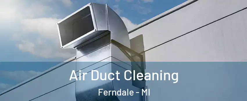  Air Duct Cleaning Ferndale - MI