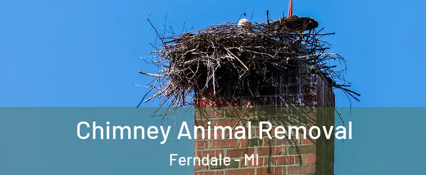 Chimney Animal Removal Ferndale - MI