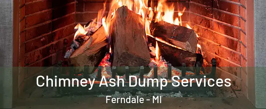  Chimney Ash Dump Services Ferndale - MI