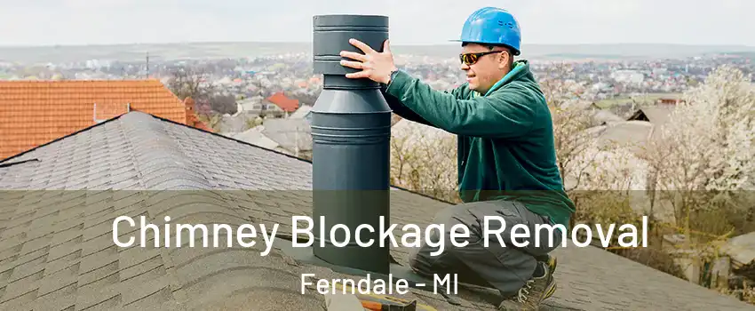  Chimney Blockage Removal Ferndale - MI