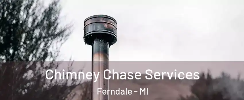  Chimney Chase Services Ferndale - MI
