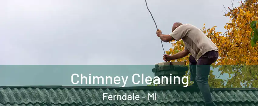  Chimney Cleaning Ferndale - MI