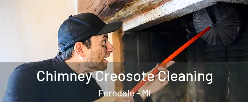  Chimney Creosote Cleaning Ferndale - MI
