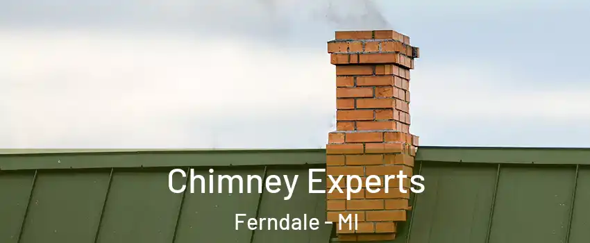  Chimney Experts Ferndale - MI