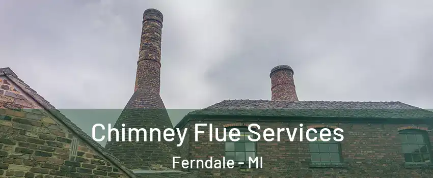  Chimney Flue Services Ferndale - MI