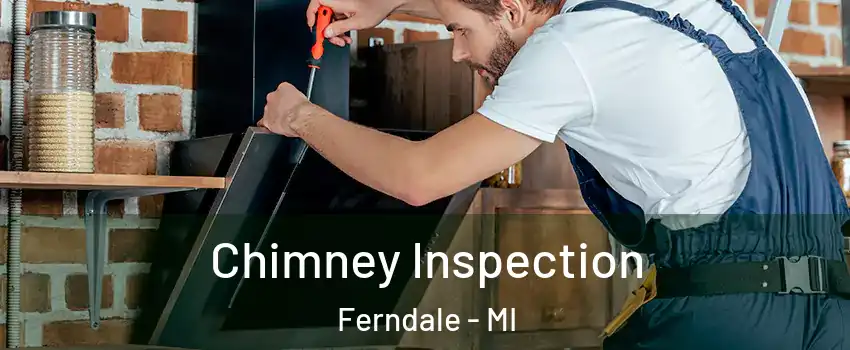  Chimney Inspection Ferndale - MI