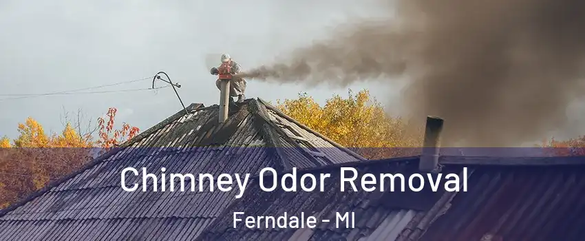  Chimney Odor Removal Ferndale - MI