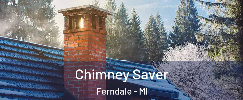  Chimney Saver Ferndale - MI