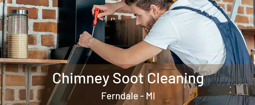  Chimney Soot Cleaning Ferndale - MI