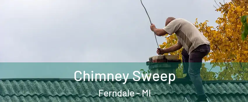  Chimney Sweep Ferndale - MI