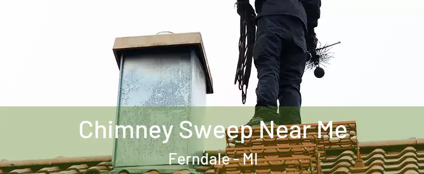  Chimney Sweep Near Me Ferndale - MI
