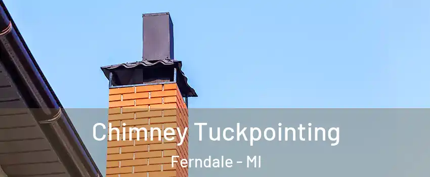  Chimney Tuckpointing Ferndale - MI
