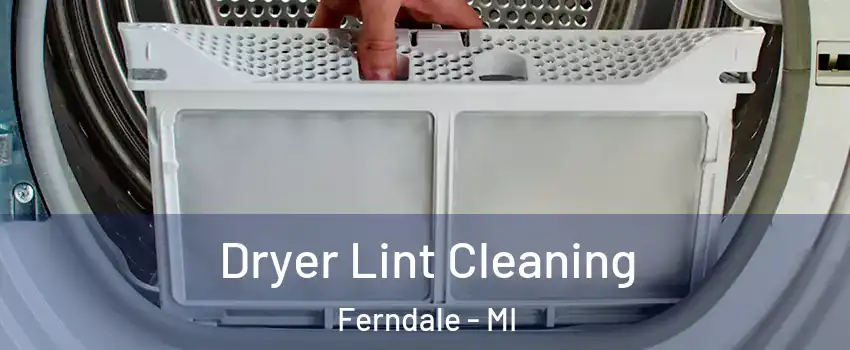  Dryer Lint Cleaning Ferndale - MI