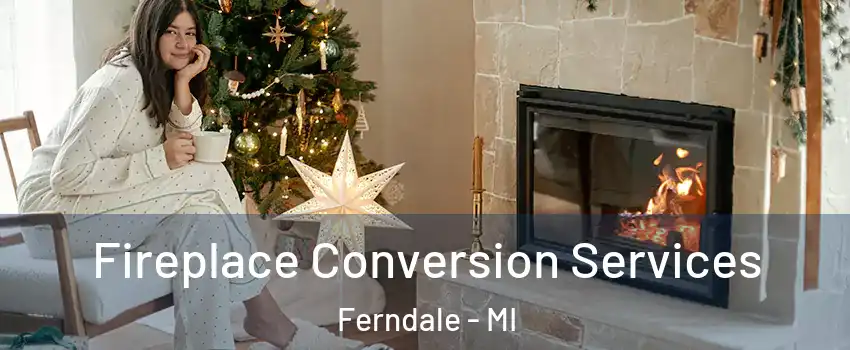  Fireplace Conversion Services Ferndale - MI