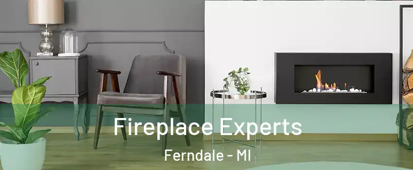  Fireplace Experts Ferndale - MI