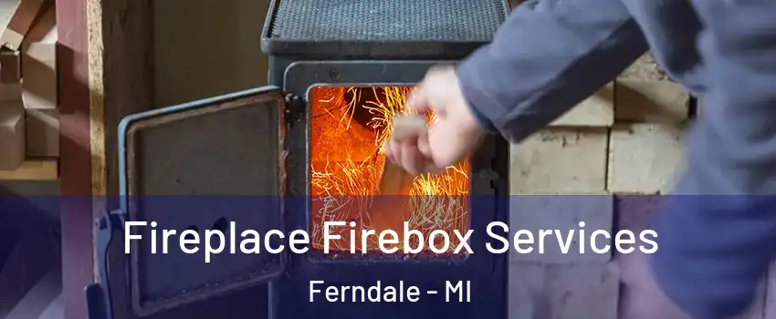  Fireplace Firebox Services Ferndale - MI