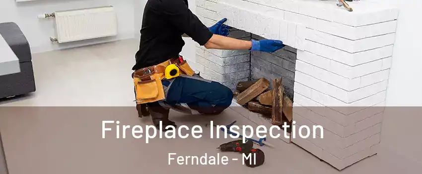  Fireplace Inspection Ferndale - MI