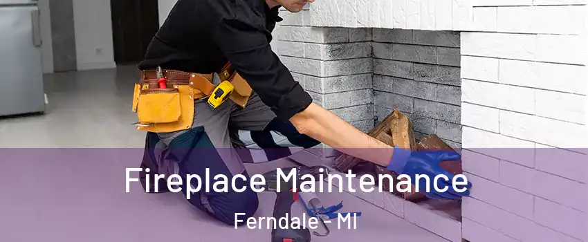  Fireplace Maintenance Ferndale - MI