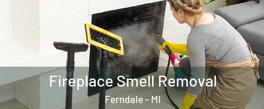  Fireplace Smell Removal Ferndale - MI