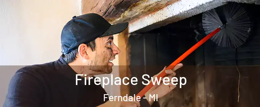 Fireplace Sweep Ferndale - MI