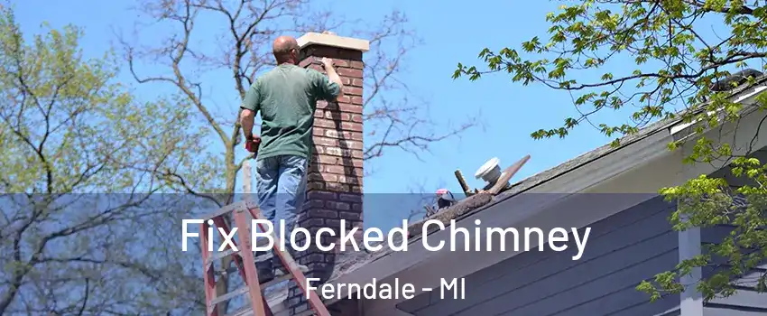  Fix Blocked Chimney Ferndale - MI