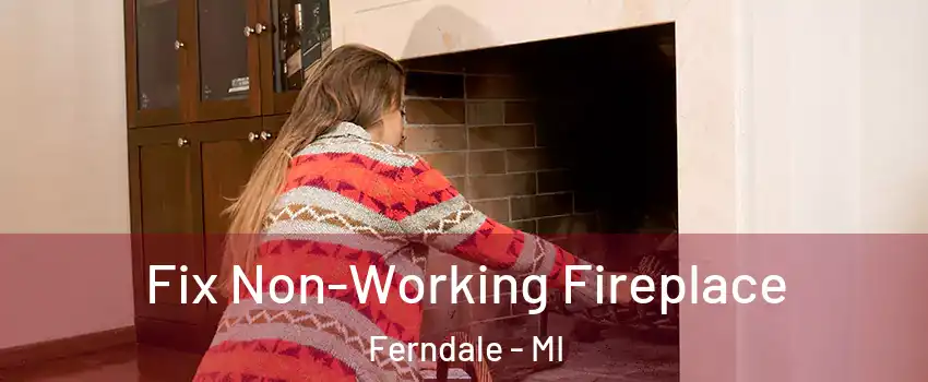  Fix Non-Working Fireplace Ferndale - MI