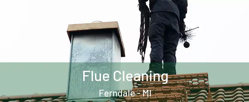  Flue Cleaning Ferndale - MI