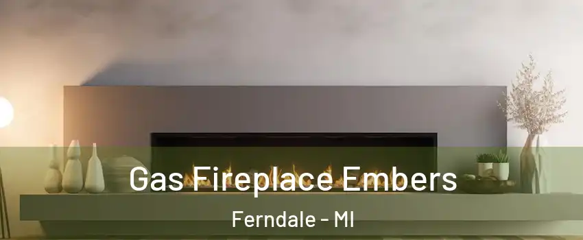  Gas Fireplace Embers Ferndale - MI