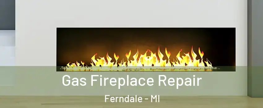  Gas Fireplace Repair Ferndale - MI