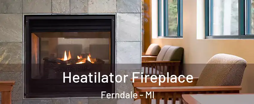  Heatilator Fireplace Ferndale - MI