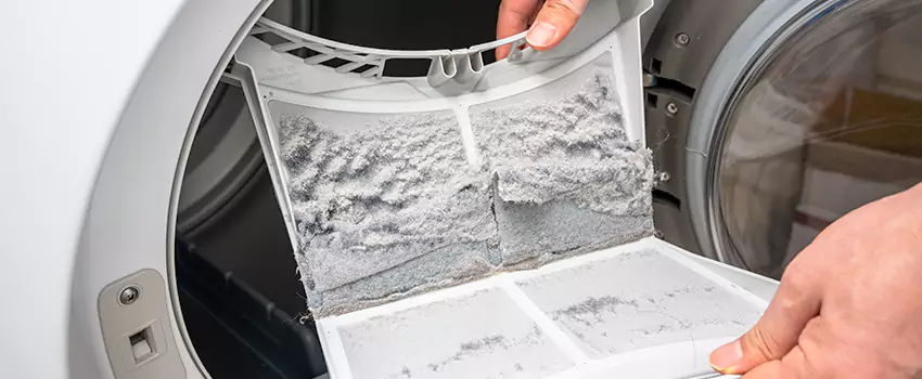Best Dryer Lint Removal Company in Ferndale, Michigan