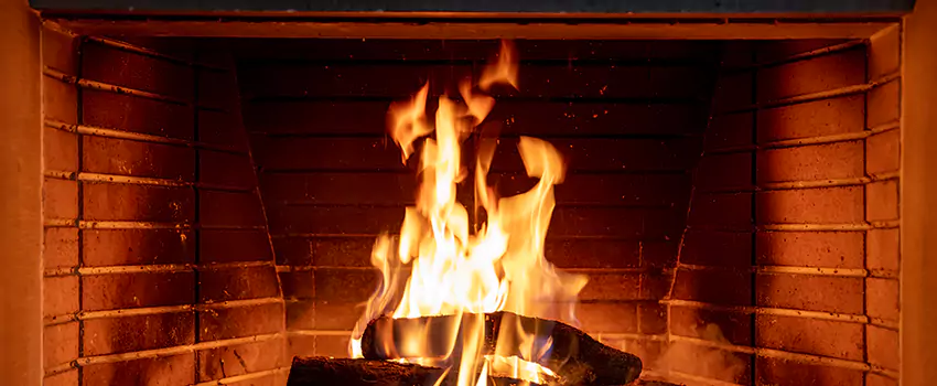 Soot Cleanup Services in Ferndale, MI