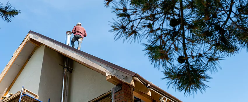Birds Removal Contractors from Chimney in Ferndale, MI