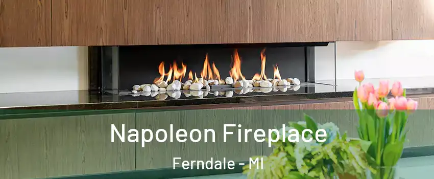  Napoleon Fireplace Ferndale - MI