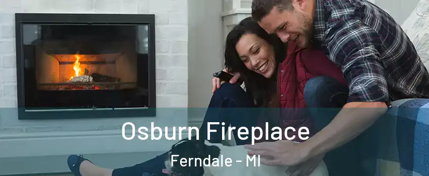  Osburn Fireplace Ferndale - MI