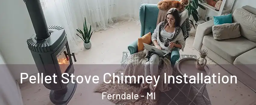  Pellet Stove Chimney Installation Ferndale - MI