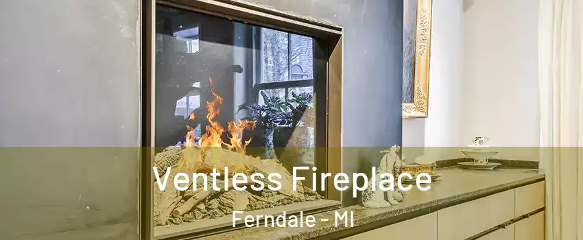  Ventless Fireplace Ferndale - MI